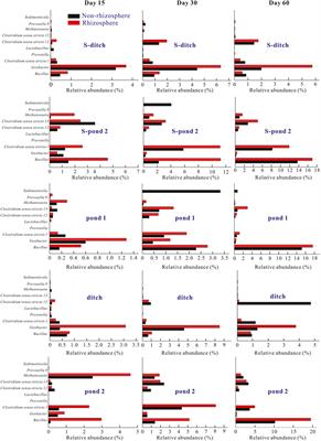 Response of Sediment Microbial Communities to the Rural Wastewater in the Pond-Ditch Circulation System